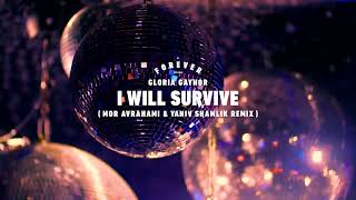 Gloria Gaynor  I Will Survive Mor Avrahami amp Yaniv Shamlik Remix [upl. by Klimesh]