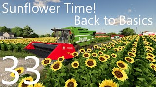 SUNFLOWER TIME  E33  Elm Creek  Farming Simulator 22  FS22 [upl. by Nicholle]