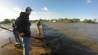 Olcott pier Salmon stageTips [upl. by Oetsira]