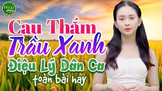 CAU THẮM TRẦU XANH ♬TOP NHỮNG BÀI HÁT DÂN CA HAY NHẤT 2024  NHẠC TRỮ TÌNH ĐẬM TÌNH HƯƠNG QUÊ [upl. by Wennerholn]