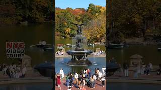 Central Park fall foliage colors Shorts [upl. by Yejus]