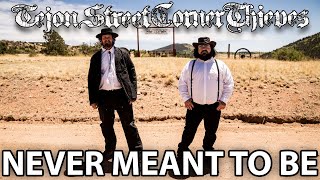 Tejon Street Corner Thieves  Never Meant To Be Music Video [upl. by Remos]