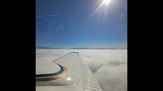 SoCal trip and Pilots N Paws Freedom Flight 134 [upl. by Eveline703]