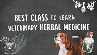 Master the Art of Veterinary Herbal Medicine [upl. by Asenav173]