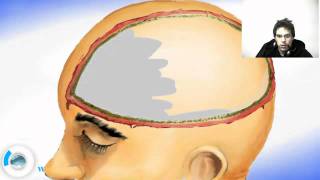 Brain Meninges  Dura Mater [upl. by Paterson]