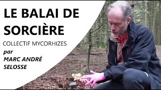 Épisode 12  LE BALAI DE SORCIÈRE  Marc André SELOSSE amp le Collectif Mycorhizes [upl. by Assi905]