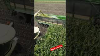 Efficient silage work with the CRONI silage machine—boosting productivity in agriculture [upl. by Eelek]