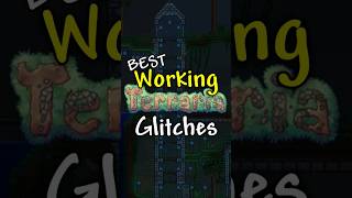 The BEST working Terraria glitches 1449 [upl. by Tuttle434]