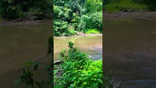 Pequea creek Lancaster PA [upl. by Kristopher621]