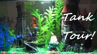 My Betta Dracos Hogwarts Harry Potter Theme Tank Tour [upl. by Gefell]