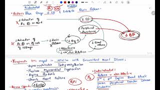 Antihypertensive Pharmacology  Sympathetic Agents in Hypertension  Beta blockers  Pt 2 [upl. by Ardnu]