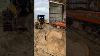 Can we get this heavy red oak log loaded up on the sawmill redoak sawmill woodmizer [upl. by Celie]