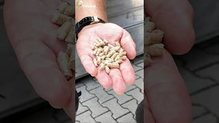 Woran erkennt der Verbraucher gute Pellets pelletheizung pellets [upl. by Hinze]