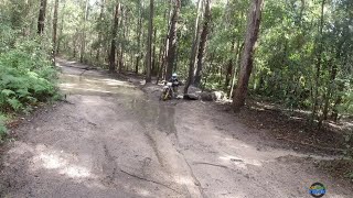 FIRST RIDE ON MY NEW SHERCO SEF 450 FACTORY [upl. by Brigit]