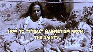 How to quotStealquot Magnetism From the Saints Paramhansa Yogananda [upl. by Gairc]