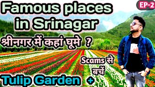 Srinagar tourist places  Places to visit in Srinagar  Tulip garden Kashmir 2023  Srinagar tourism [upl. by Brina]