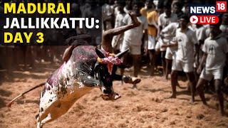 Madurai Jallikattu LIVE  Bull Taming Festival At Alanganallur Madurai In Tamil Nadu LIVE  N18L [upl. by Ennywg]