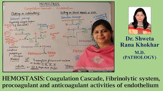 HEMOSTASIS Coagulation Cascade Fibrinolytic system Endothelium Pro and anticoagulant activities [upl. by Elisha]