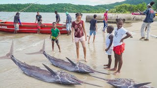 3 Massive Marlin Fish Got Caught Today  Pagee\Port Maria Marlin Tournament Nov 10 2024 [upl. by Hasheem836]