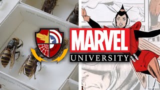 The Wasp The Science of Wasps  Marvel University [upl. by Sirovat]