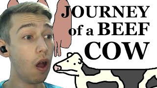 The Journey of a Beef Cow  Sam ONella REACTION [upl. by Ennail]