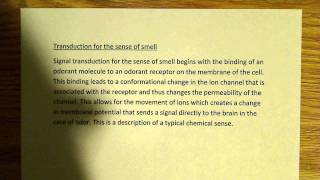 Transduction for the sense of smell [upl. by Daigle129]