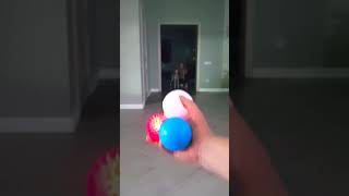 Dog and squeaking Balls reverse video [upl. by Akineg892]