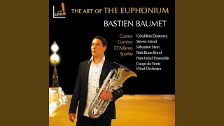 Euphonium Concerto III Giocoso [upl. by Engelbert]