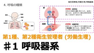 【♯1 呼吸器系労働生理】2024年版 衛生管理者 衛生管理者試験をわかりやすく解説 聞き流し [upl. by Krute]