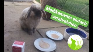 Medikamente stressfrei verabreichen beim Kaninchen [upl. by Aniretak2]