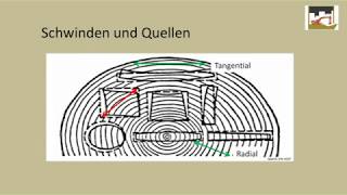 Das feuchtebedingte Verhalten von Holz [upl. by Cresa]