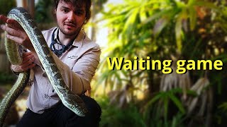 Playing The Waiting Game [upl. by Amar]