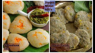 Special Millet Idli  చిరుధాన్యాల ఇడ్లి  ఇంటిల్లిపాదికి పుష్టినిచ్చేఆరోగ్యకరమైన ఇడ్లి [upl. by Marr]