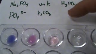 Phosphate Anion Test for Qual Lab [upl. by Lacym441]