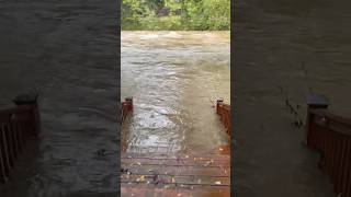 tuckasegee river flooding near house 92724 [upl. by Enaujed]