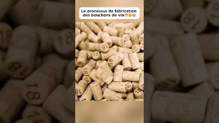 Le processus de fabrication des bouchons de vin‼️🤯🤯 bouchon wine plug découverte pourtoi fyp [upl. by Jess]