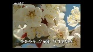 北朝鮮 『故郷の春고향의 봄』 uriminzokkiriTV 2016129 日本語字幕付き [upl. by Mercie]