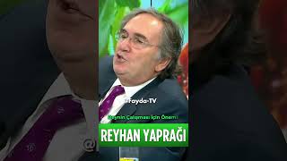 Reyhan Yaprağı Etkili Faydaları 🌿👍 ibrahimsaraçoğlu faydatv şifalıbitkiler reyhan [upl. by Lacombe]