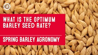 Spring Barley Agronomy Series  4 Getting the Optimum Seed Rate [upl. by Ammon]