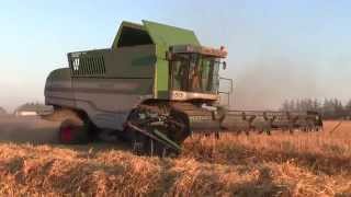 Barley Harvest  Fendt 8400 P Combine Harvester  Harvest 2014 [upl. by Htabmas]