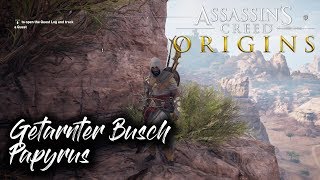 Assassins Creed Origins  Getarnter Busch DLC Papyrus [upl. by Skvorak]