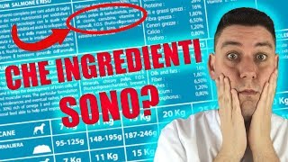 Carne nei croccantini qual è il SIGNIFICATO degli ingredienti [upl. by Mickey]