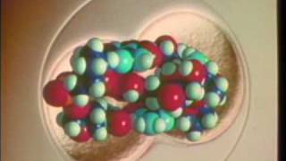 Intercalation of Doxorubicin with DNA [upl. by Elrae707]