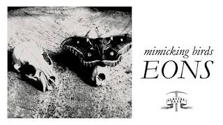 Mimicking Birds  Bloodlines Official Audio [upl. by Normalie604]