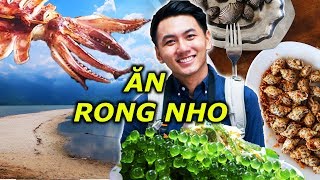 ĂN HẢI SẢN ở Lăng Cô Du lịch ẩm thực Huế 1 [upl. by Nedyaj]