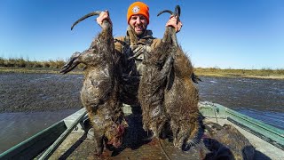 Hunting GIANT Marsh RATS for Food  Louisiana Nutria Hunting and Cooking [upl. by Aniakudo]