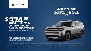 Hyundai Santa Fe 10052024 4397775 [upl. by Zulema673]