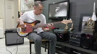 Meu Erro  Paralamas do Sucesso1984 Marco Torres Bass Cover [upl. by Fennell]