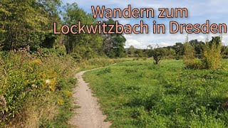 Wanderung zum Lockwitzbach in Dresden Einstieg [upl. by Eylrac]