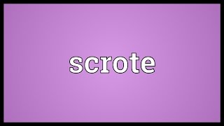 Scrote Meaning [upl. by Saber891]